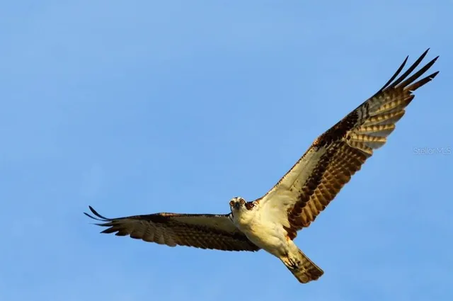 a view of a fireplace