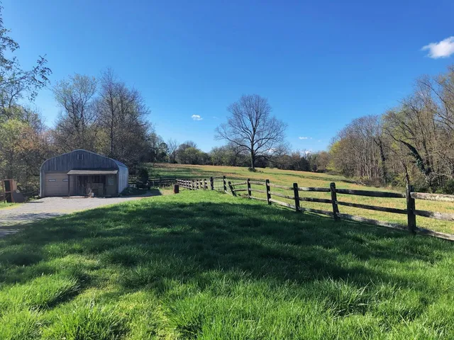 a view of a park with large trees and a big yard