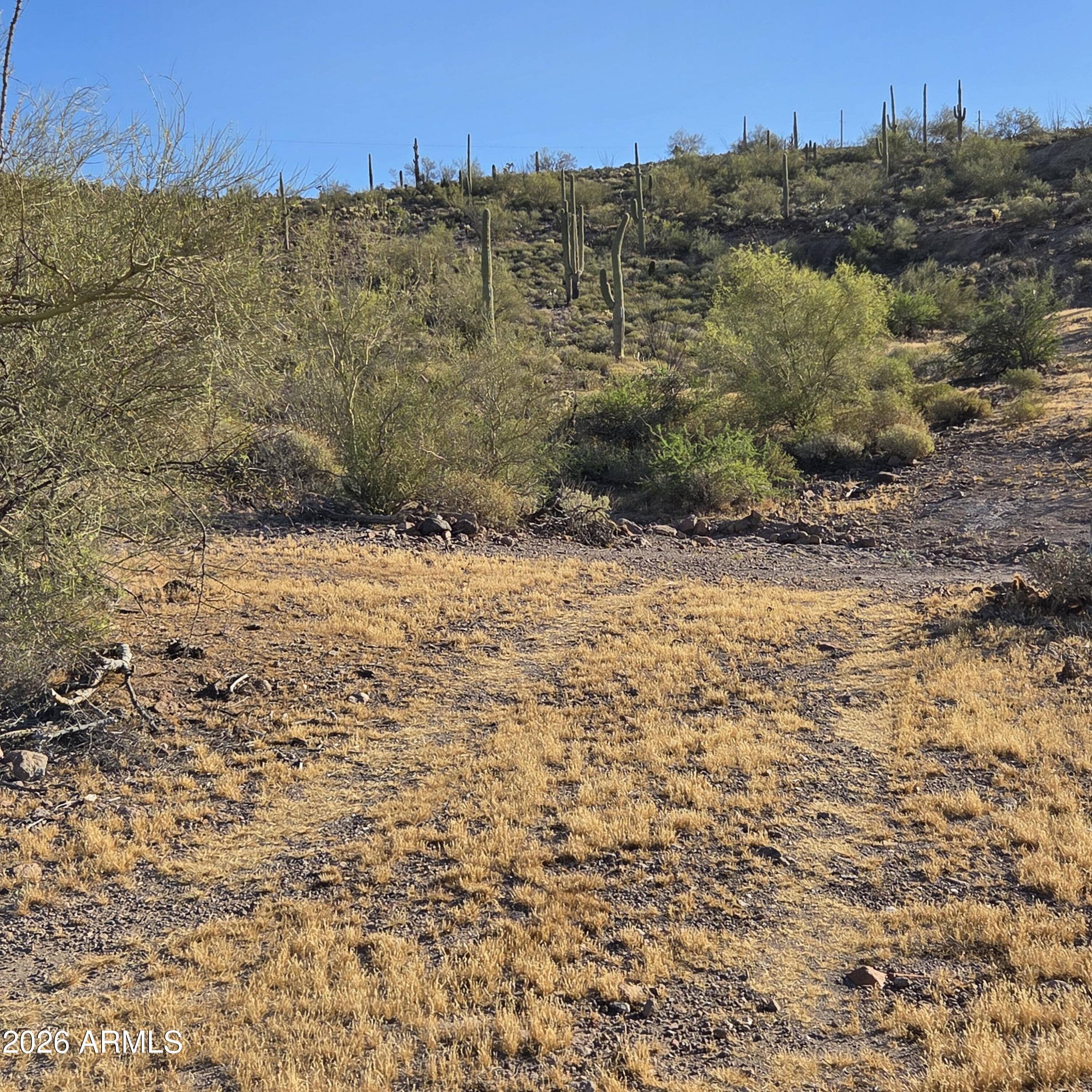0 Elephant Butte Road Gold Canyon, AZ 85118 - Photo 2 of 5 20260321_080834