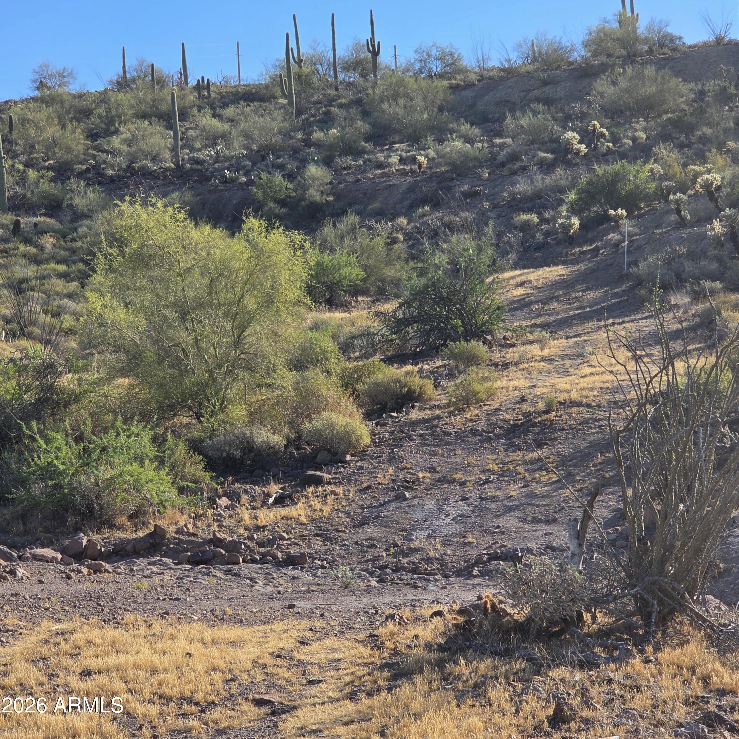 0 Elephant Butte Road Gold Canyon, AZ 85118 - Photo 3 of 5 20260321_080906