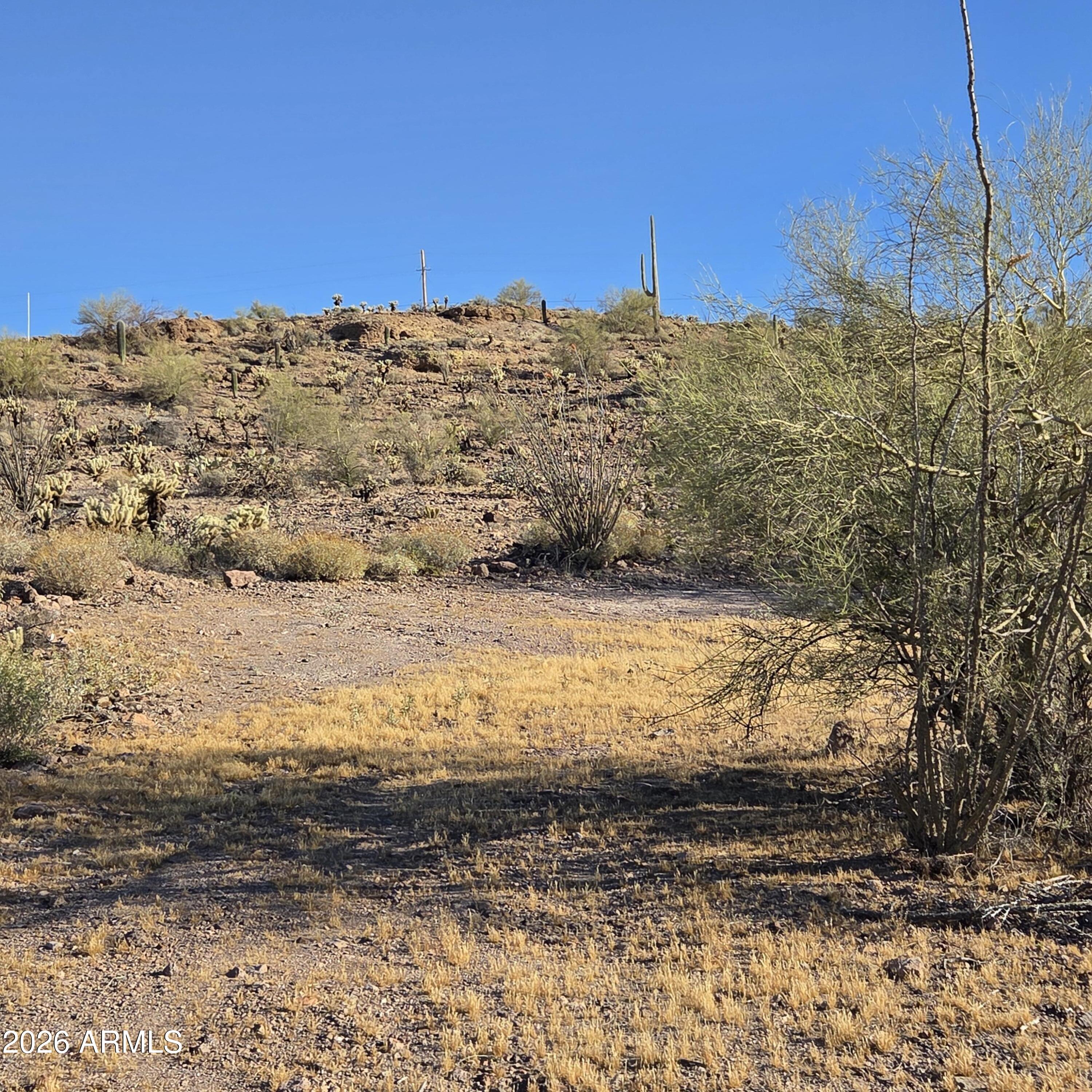 0 Elephant Butte Road Gold Canyon, AZ 85118 - Photo 4 of 5 20260321_080838