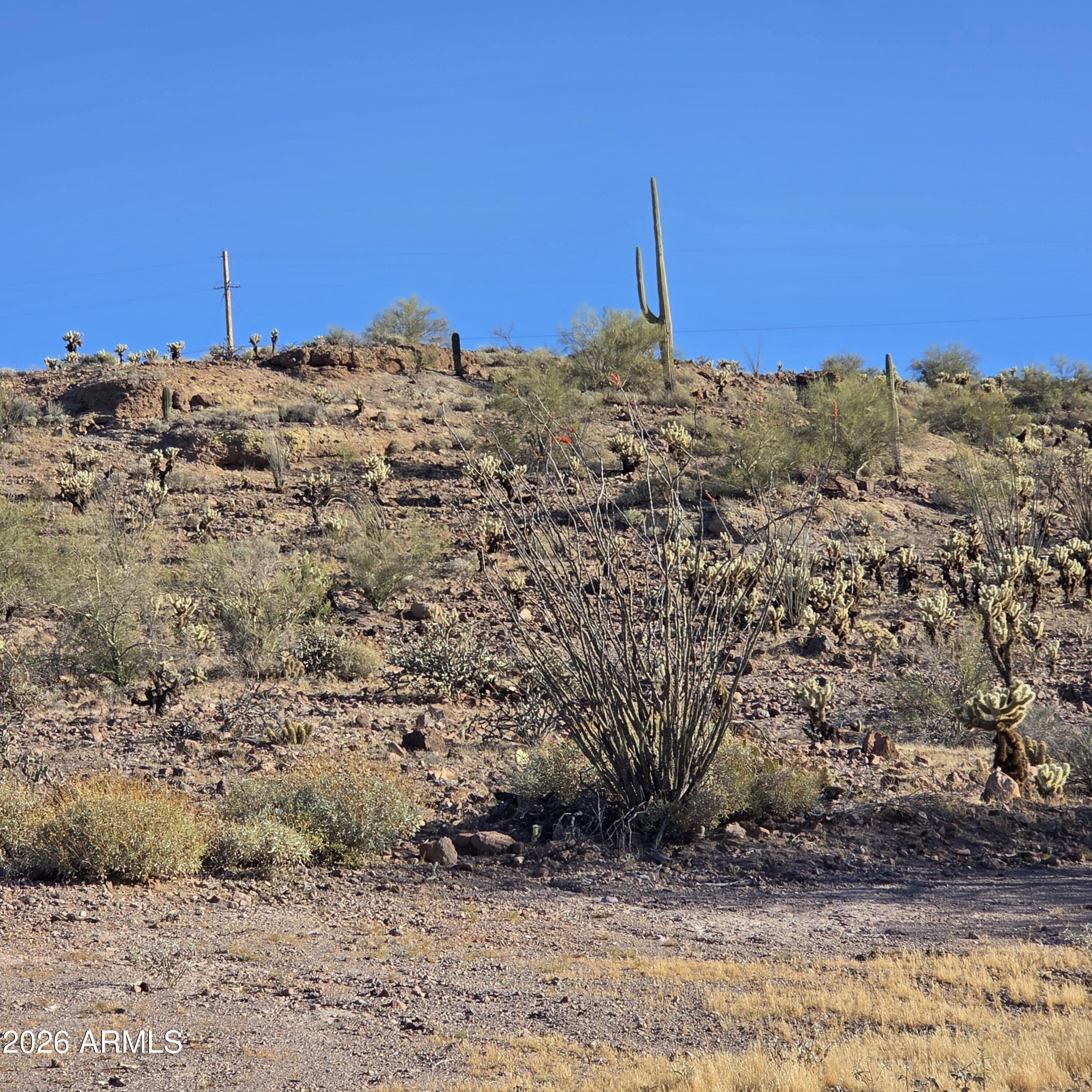 0 Elephant Butte Road Gold Canyon, AZ 85118 - Photo 5 of 5 20260321_080920