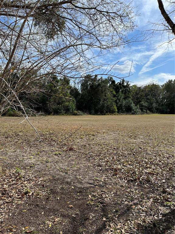 a view of an outdoor space and a yard
