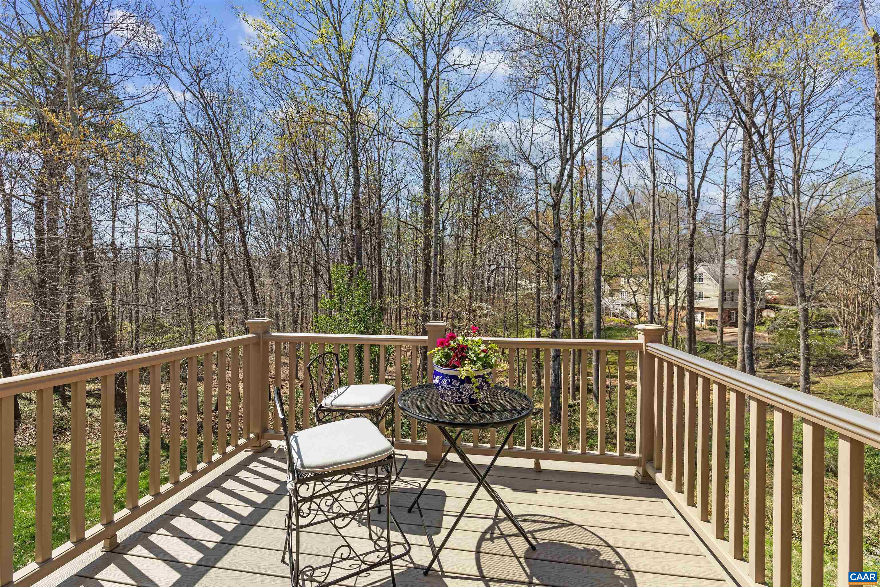 155 Ivy Ridge Road Charlottesville, VA 22901 - Photo 24 of 49