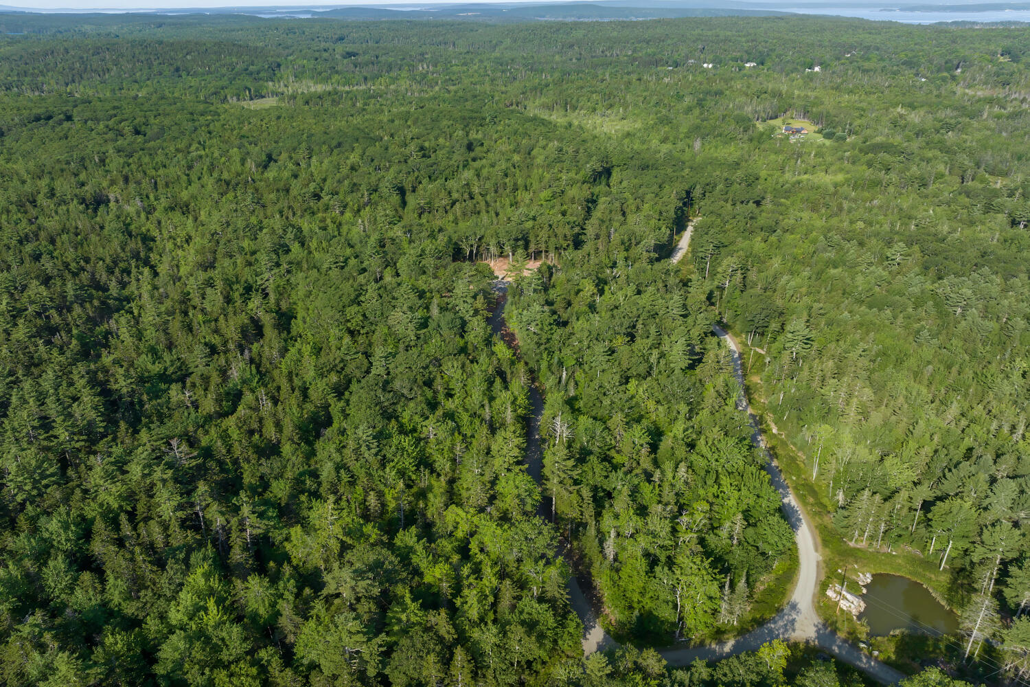 10 Patty Road Bar Harbor, ME 04609 - Photo 20 of 23 24-000 Patty Lot Road,-DTP