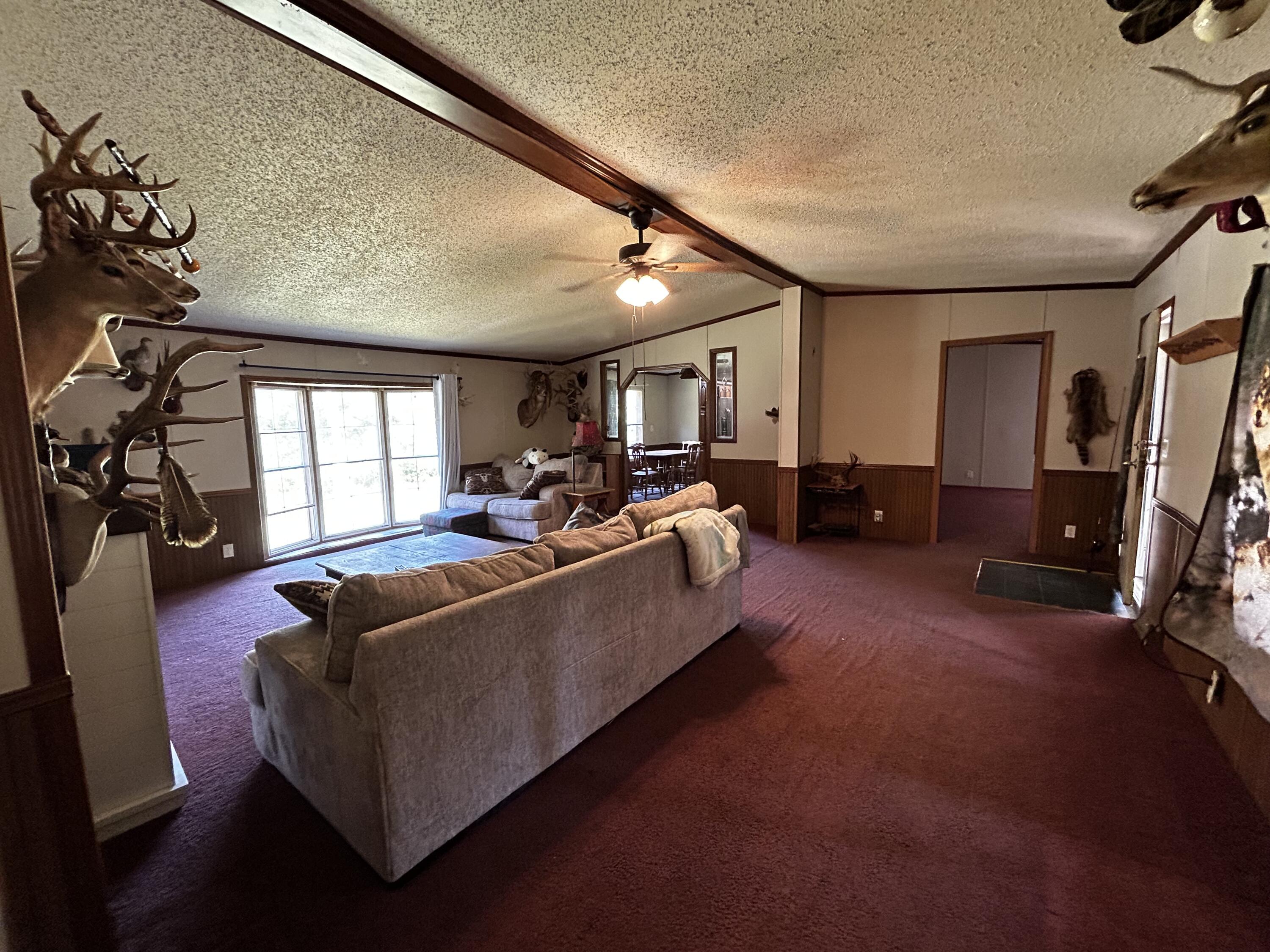 553 Borden Road Wickliffe, KY 42087 - Photo 22 of 66 IMG_4568