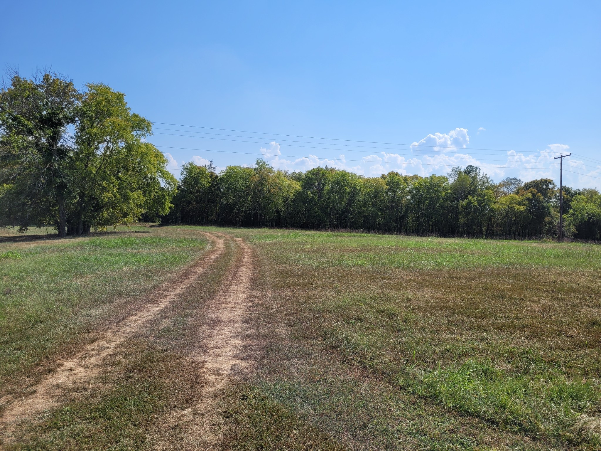 1289 Old Hopewell Road Bethpage, TN 37022 - Photo 11 of 42 Gallery Image 11