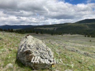 -tbd Cape Labelle Road Tonasket, WA 98855 - Photo 4 of 6 a view of ocean
