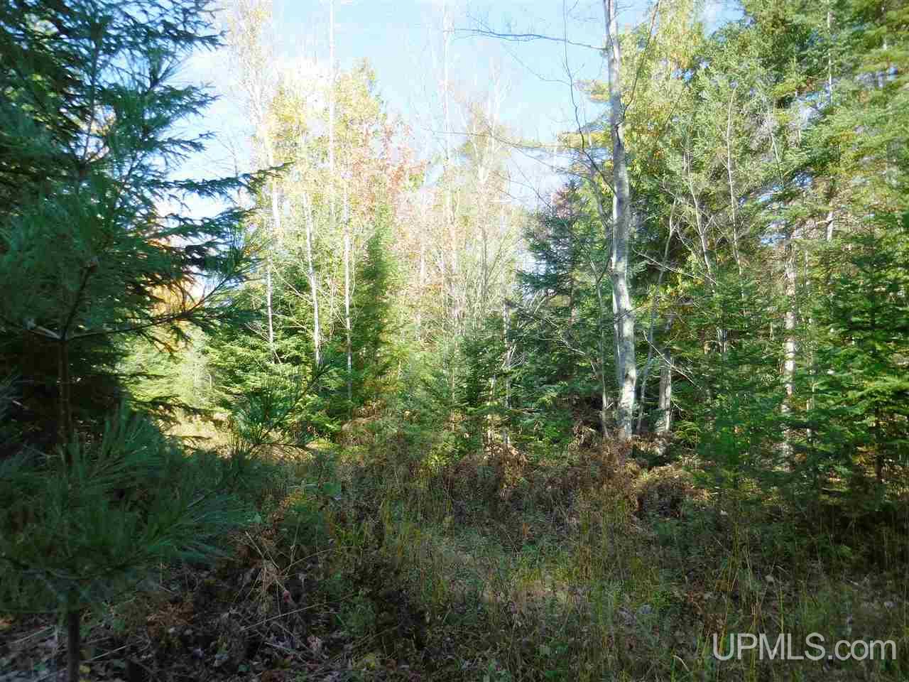 12 Acres Off Rice Road Manistique, MI 49854 - Photo 5 of 14