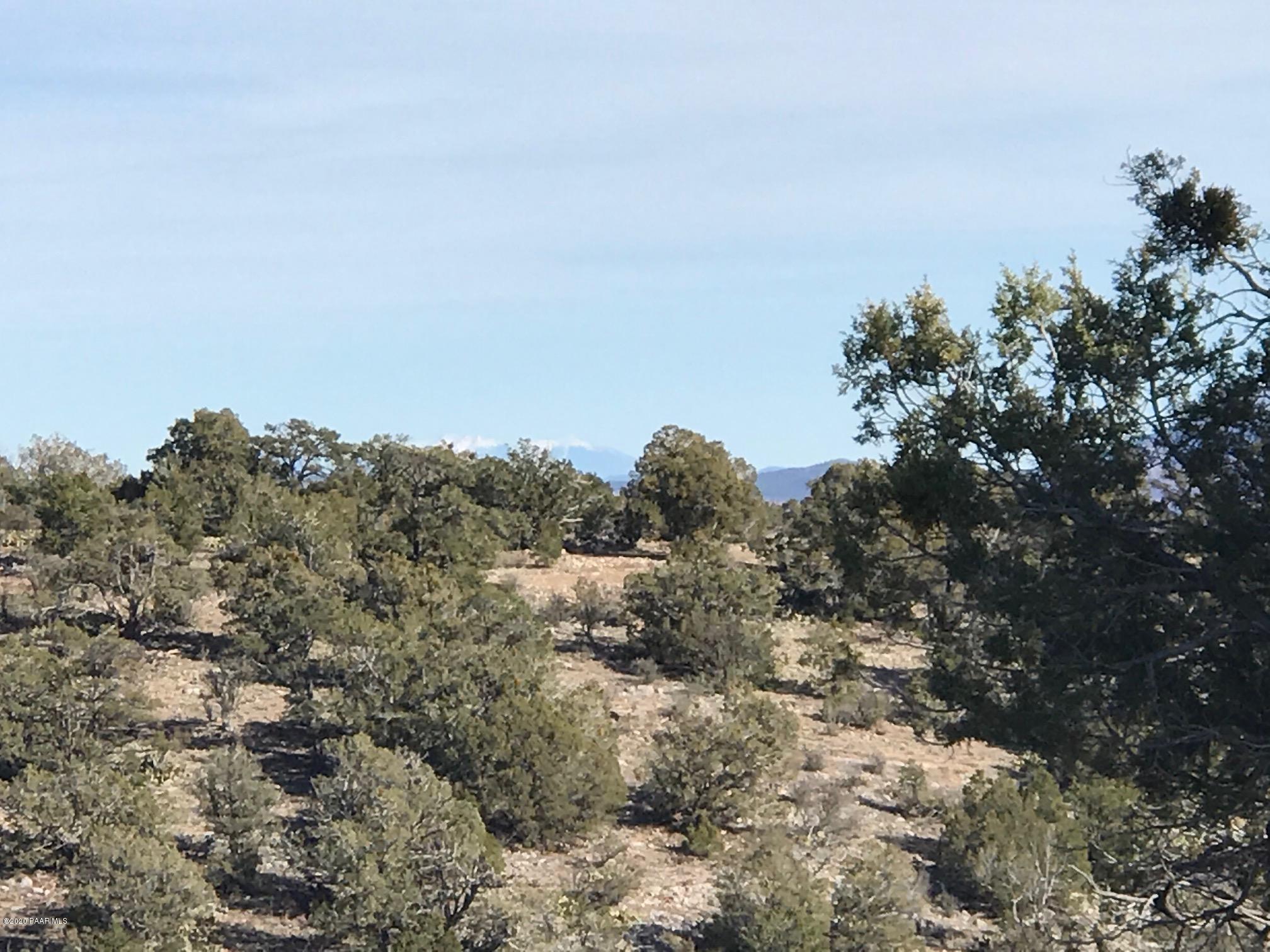 257 Off Of Ridge Seligman, AZ 86337 - Photo 11 of 14 IMG_8905