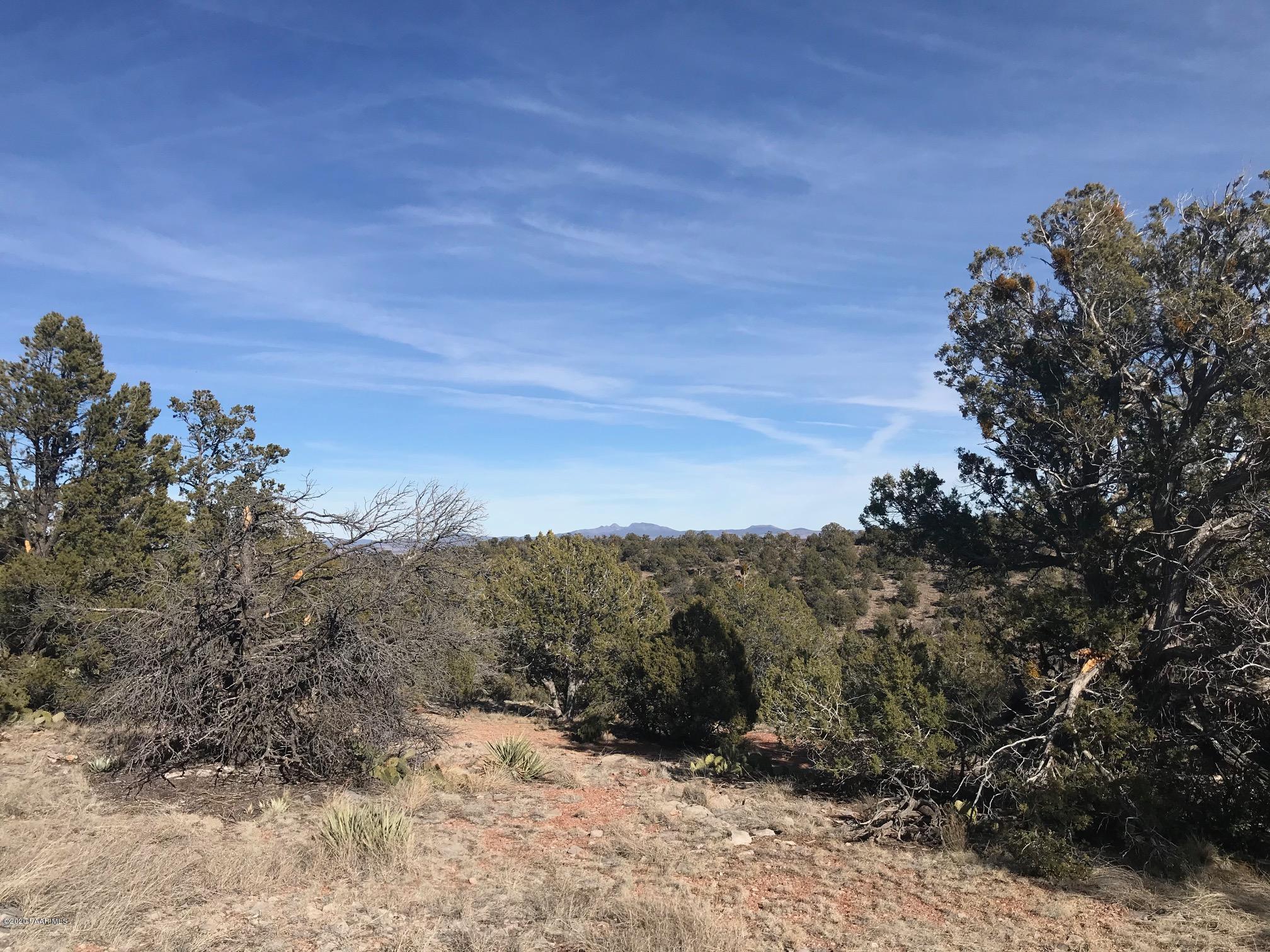 257 Off Of Ridge Seligman, AZ 86337 - Photo 12 of 14 IMG_8906