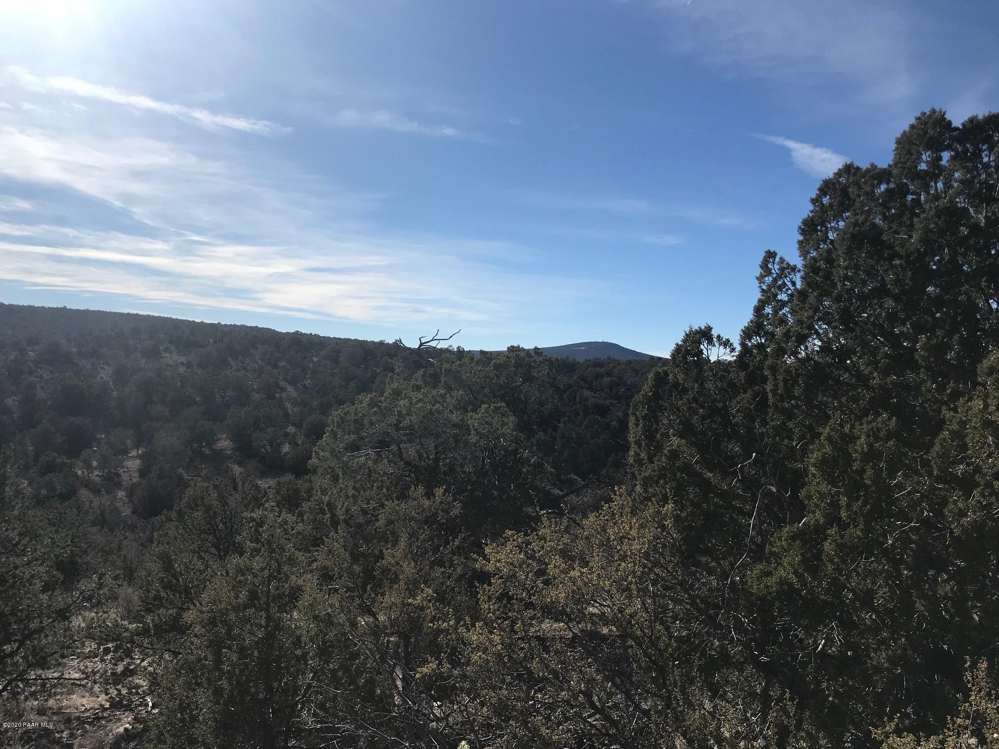 257 Off Of Ridge Seligman, AZ 86337 - Photo 14 of 14 IMG_8908