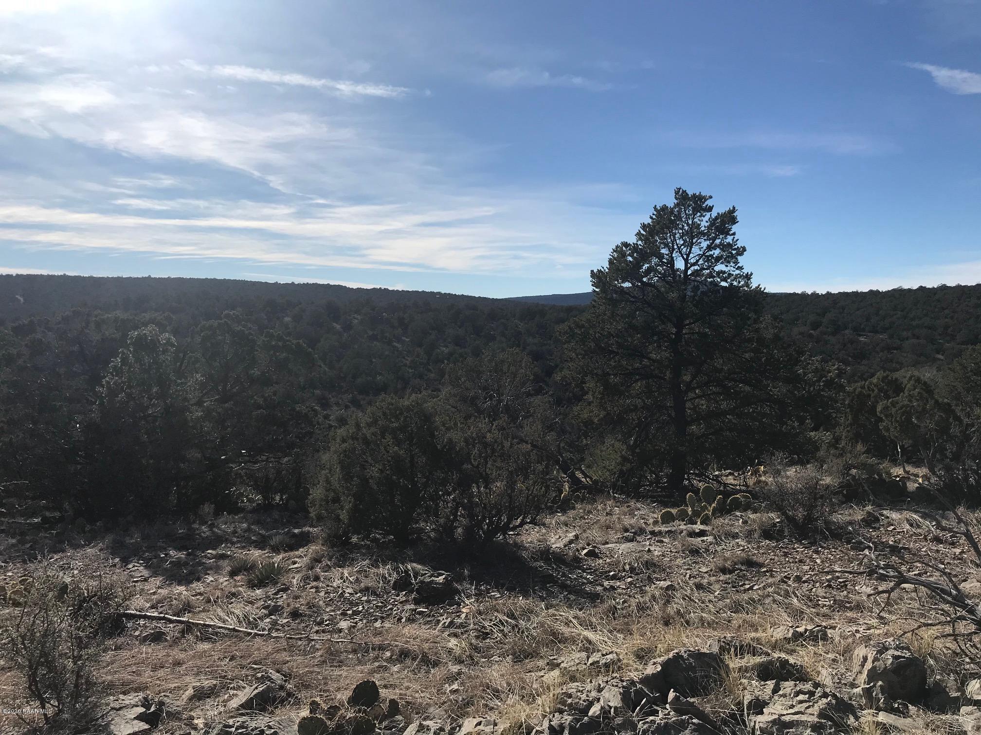 257 Off Of Ridge Seligman, AZ 86337 - Photo 8 of 14 IMG_8902