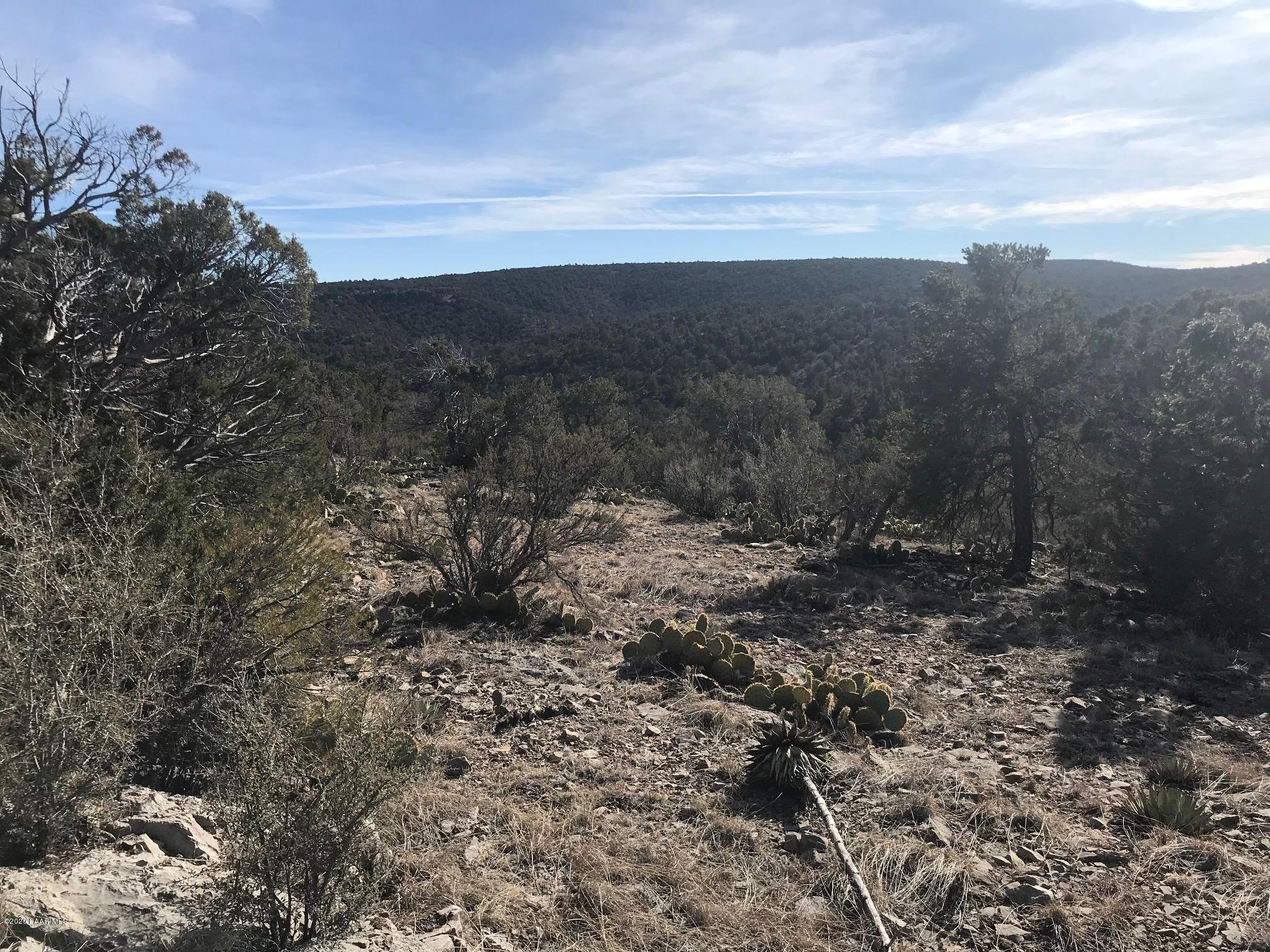 257 Off Of Ridge Seligman, AZ 86337 - Photo 10 of 14 IMG_8904