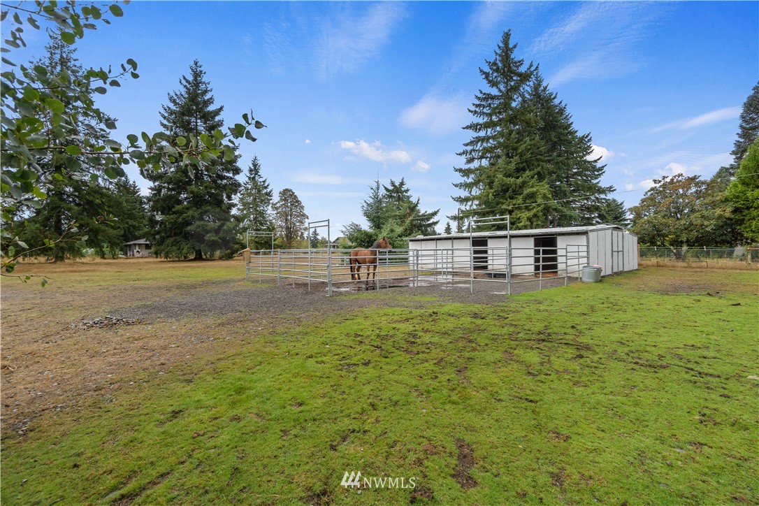 18830 Ivan Street Southwest Rochester, WA 98579 - Photo 3 of 32 a view of a house with backyard and trees