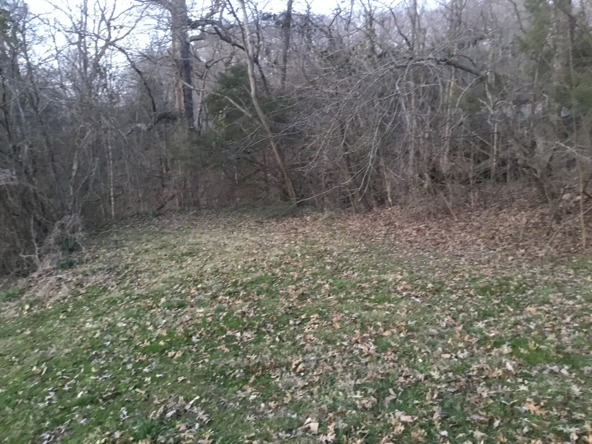 1567 Lake Logan Road Ardmore, TN 38449 - Photo 33 of 42 Gallery Image 33