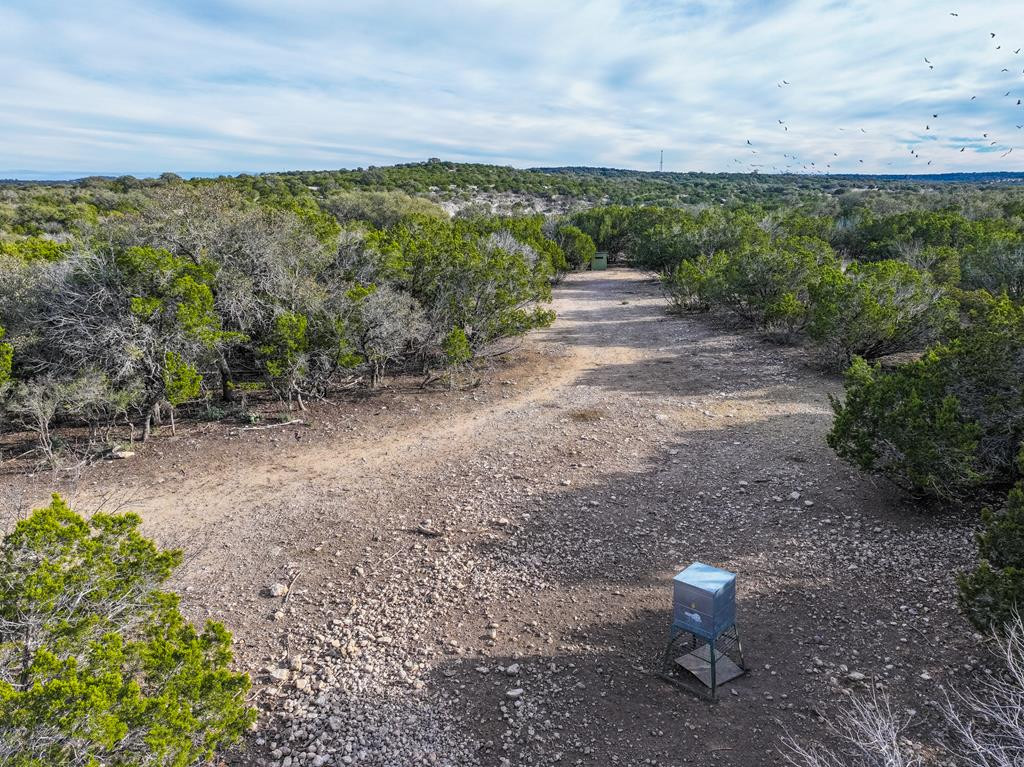 4603 County Road Roosevelt, TX 76874 - Photo 10 of 31 Photo 10