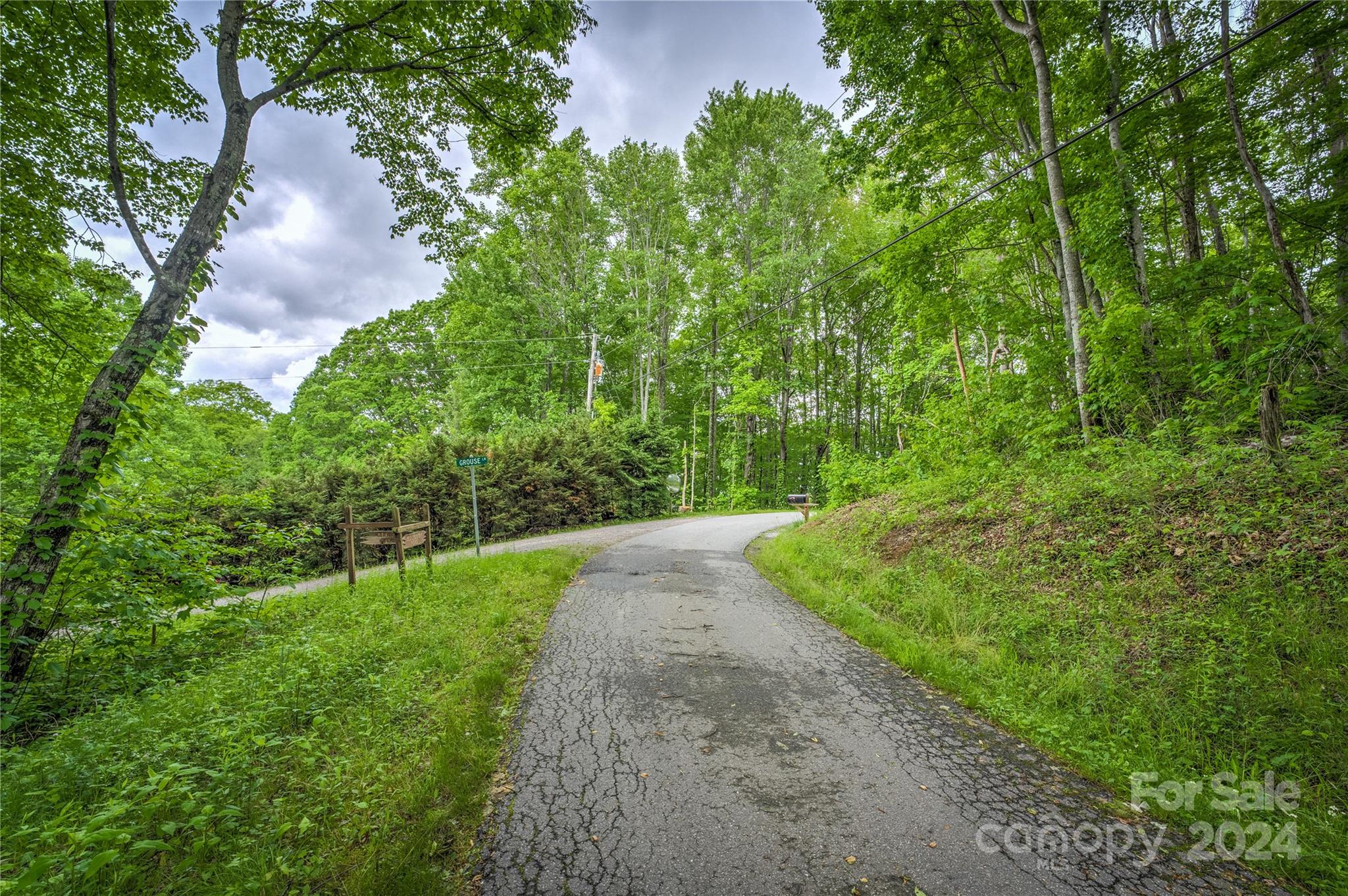 9999 Old Country Road Waynesville, NC 28786 - Photo 2 of 9 a view of a yard with plants and a large tree