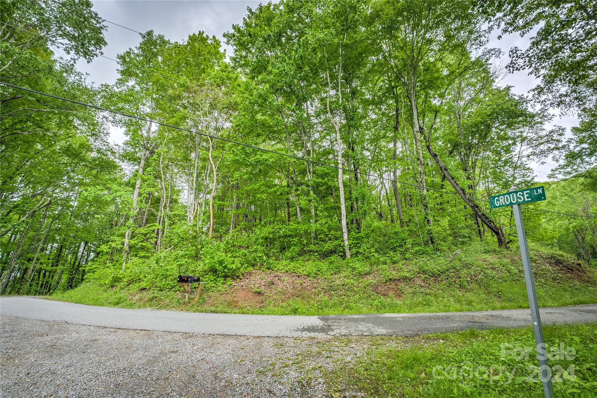 9999 Old Country Road Waynesville, NC 28786 - Photo 3 of 9 a view of a garden