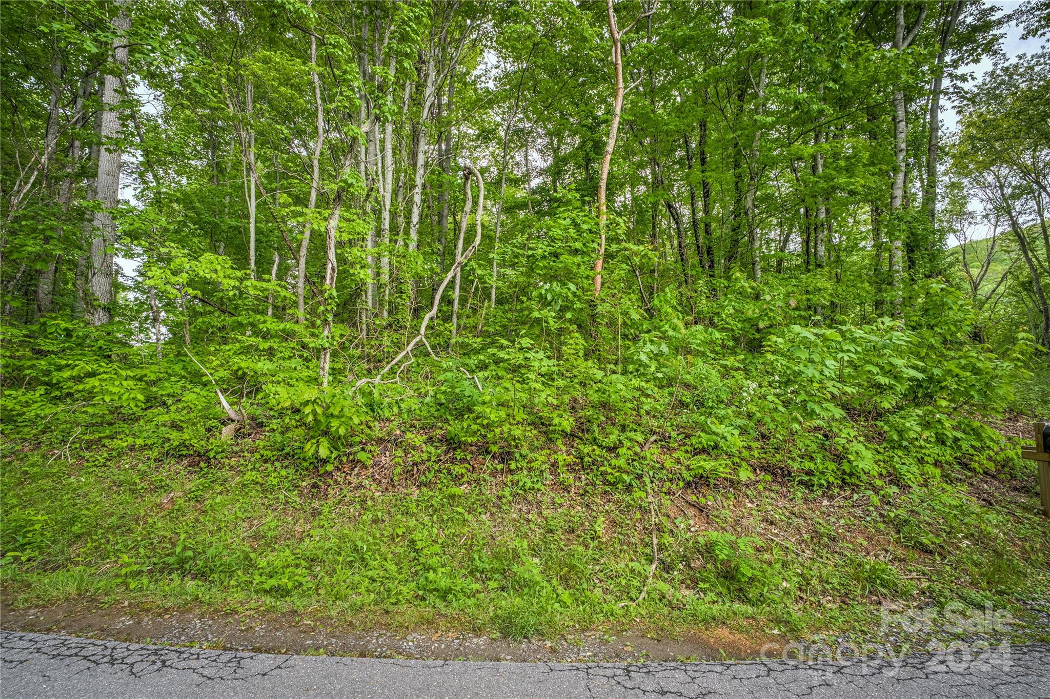 9999 Old Country Road Waynesville, NC 28786 - Photo 4 of 9 a view of a lush green space