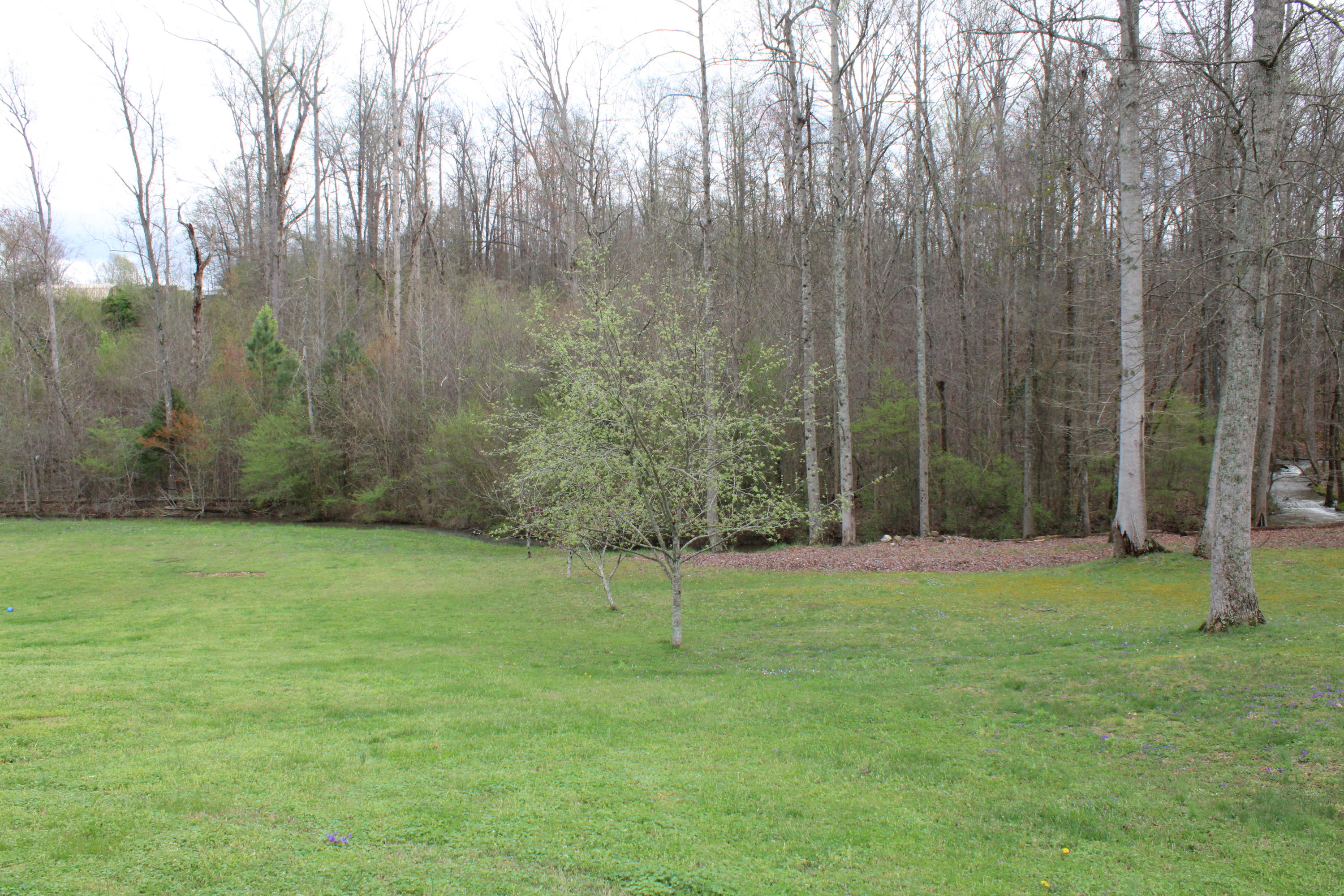 175 Lyles Road Southeast Cleveland, TN 37323 - Photo 25 of 26 IMG_0555