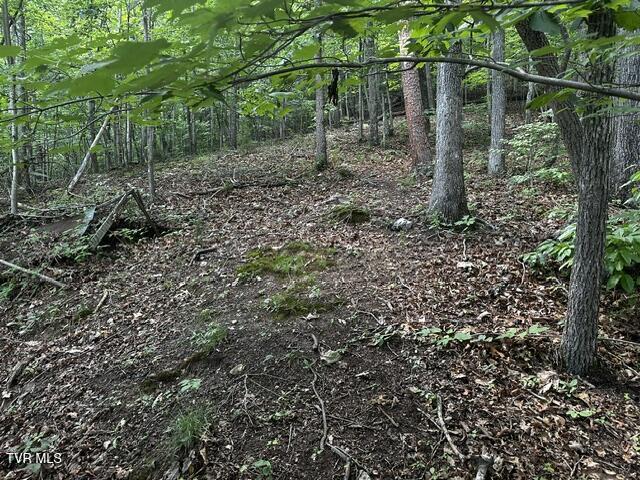 230 Ridge Road Weber City, VA 24290 - Photo 12 of 46 IMG_0595