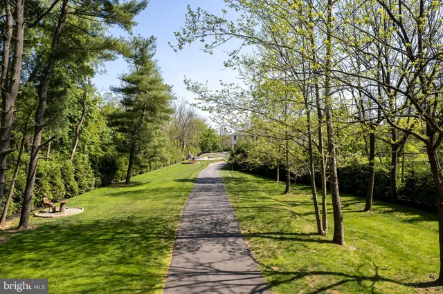 a view of a park with large trees