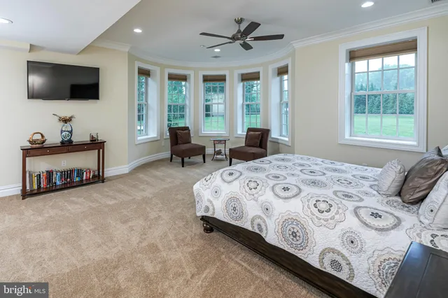 a view of a swimming pool with a garden