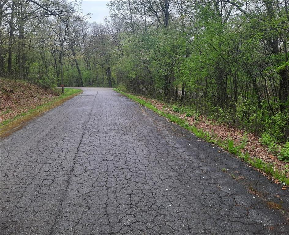Lot 103 Rye Bluff Road Black River Falls, WI 54615 - Photo 1 of 3