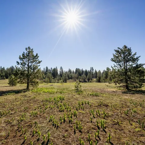 $1,375,000 | Lot 34 To Be Determined, Unit 34, McCall, ID 83638