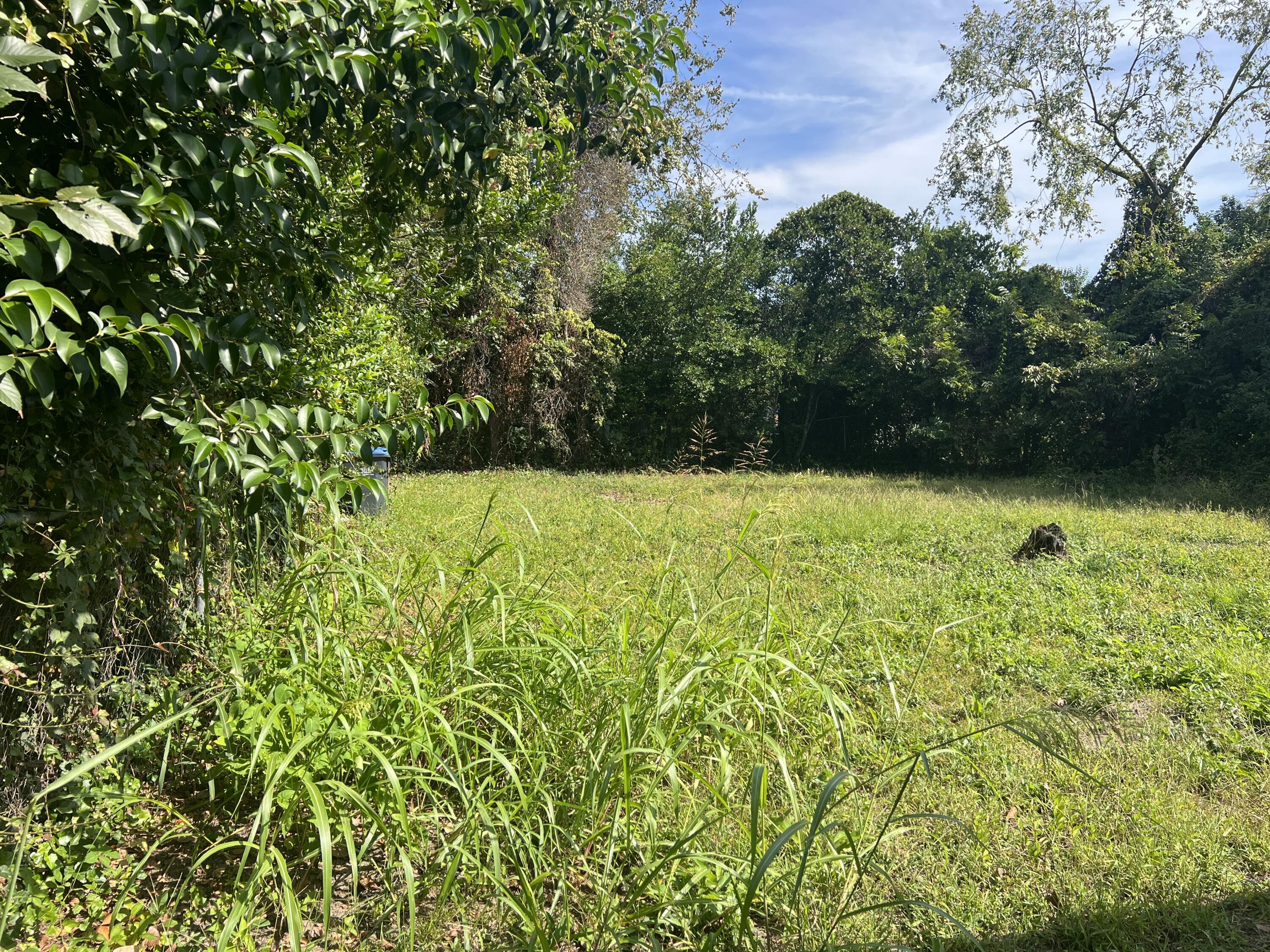 1121 Sharpes Lane Augusta, GA 30901 - Photo 17 of 17 IMG_5030