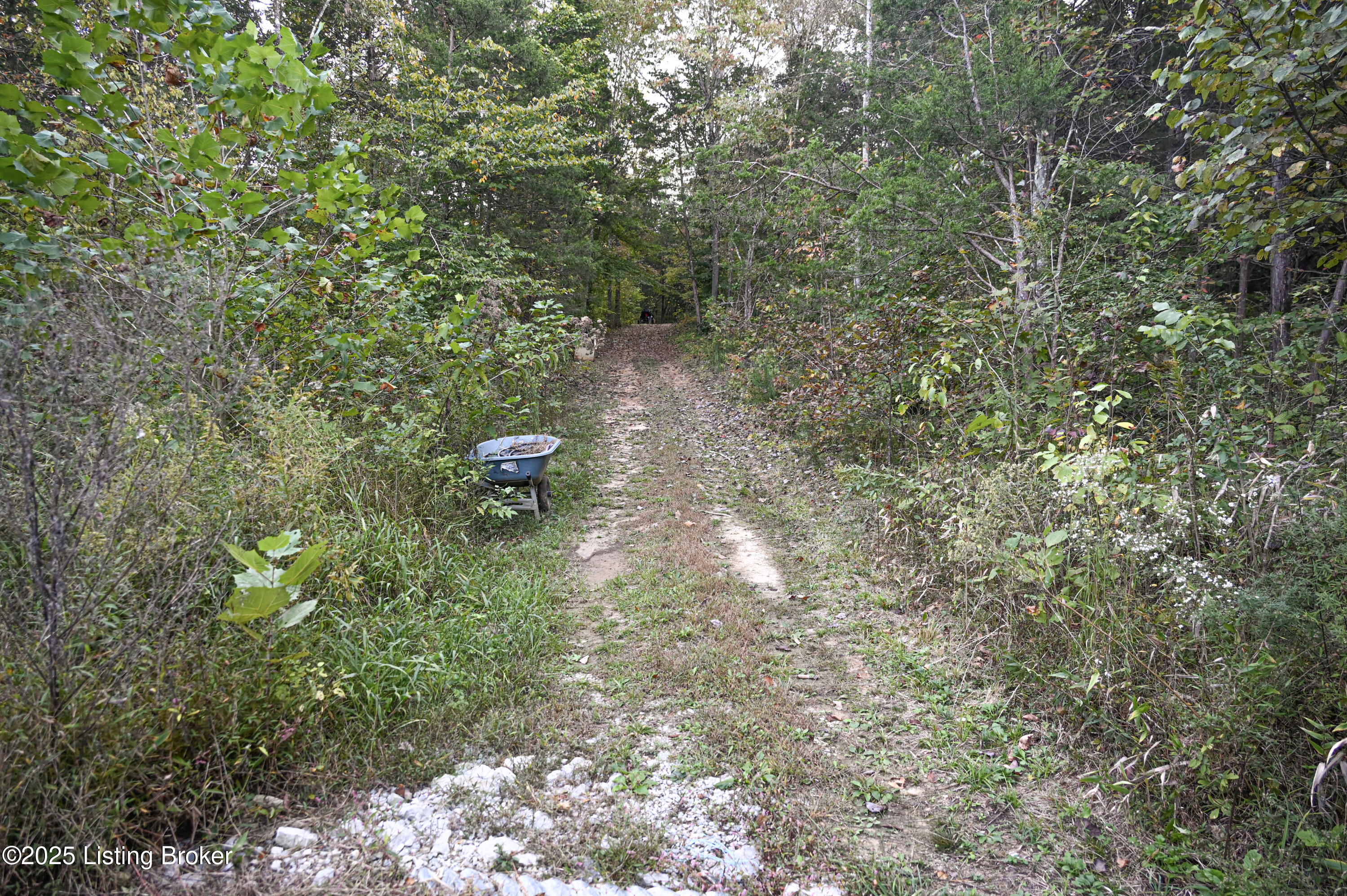 981 Limp Road Big Clifty, KY 42712 - Photo 18 of 44 18-DSC_0857