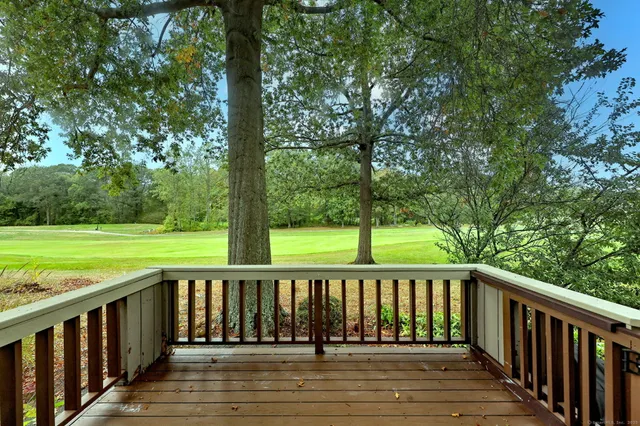 a view of outdoor space with deck and large trees