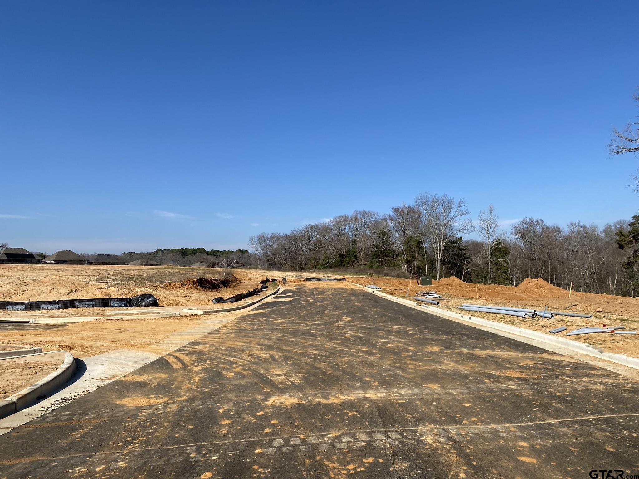 630 Prince Lane Tyler, TX 75704 - Photo 4 of 9