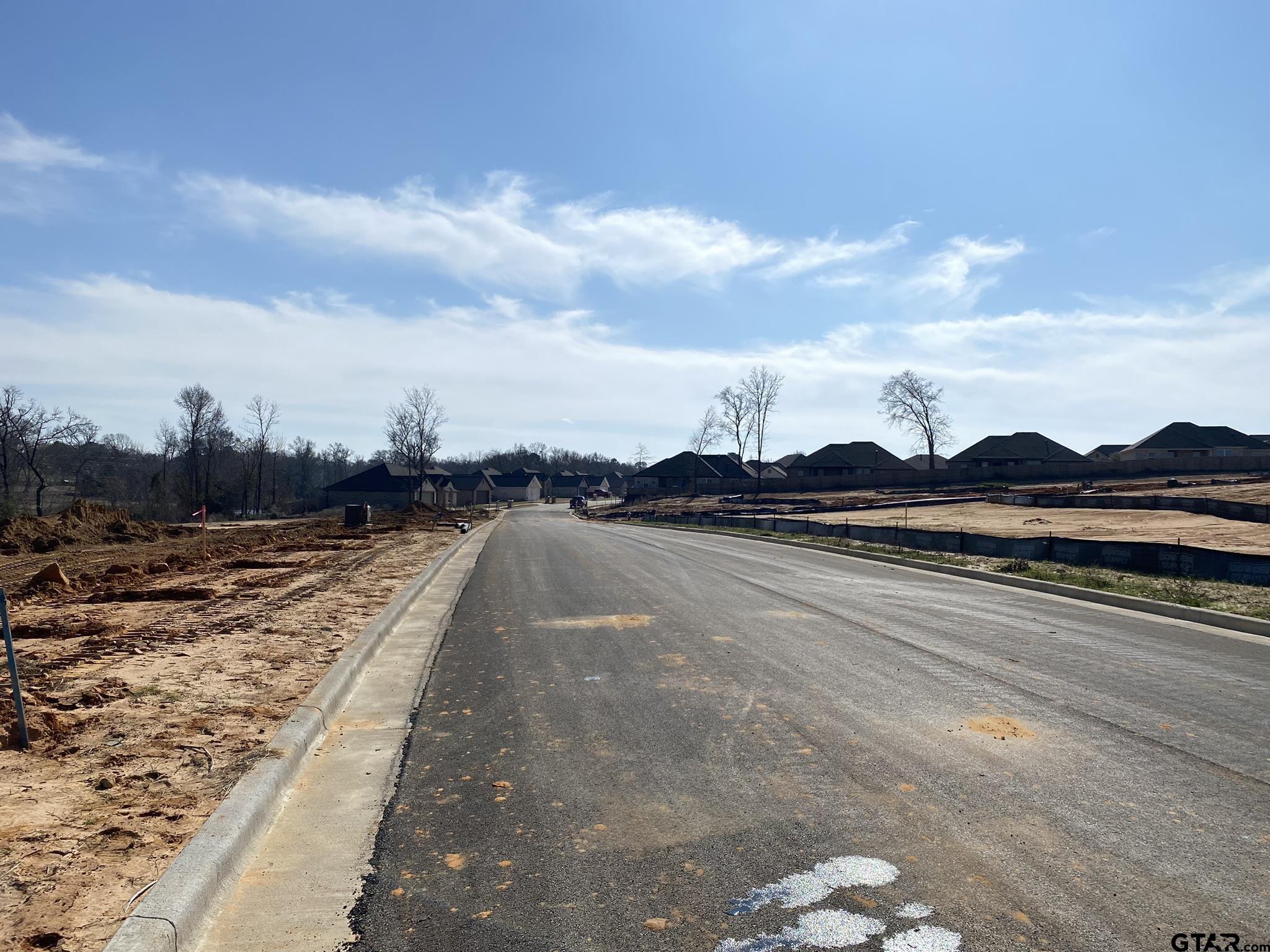 630 Prince Lane Tyler, TX 75704 - Photo 8 of 9