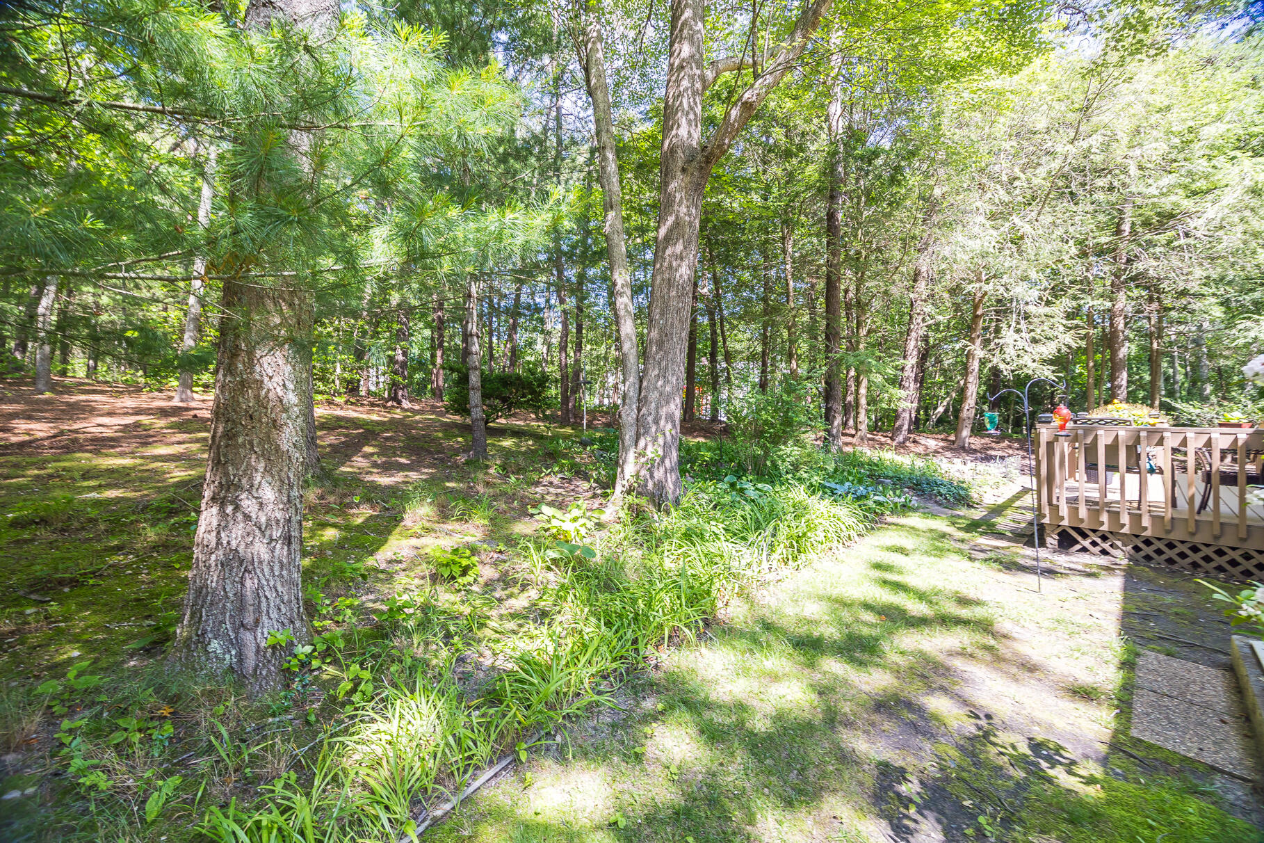 1441 Old Post Road Marstons Mills, MA 02648 - Photo 42 of 52 8P0A9134