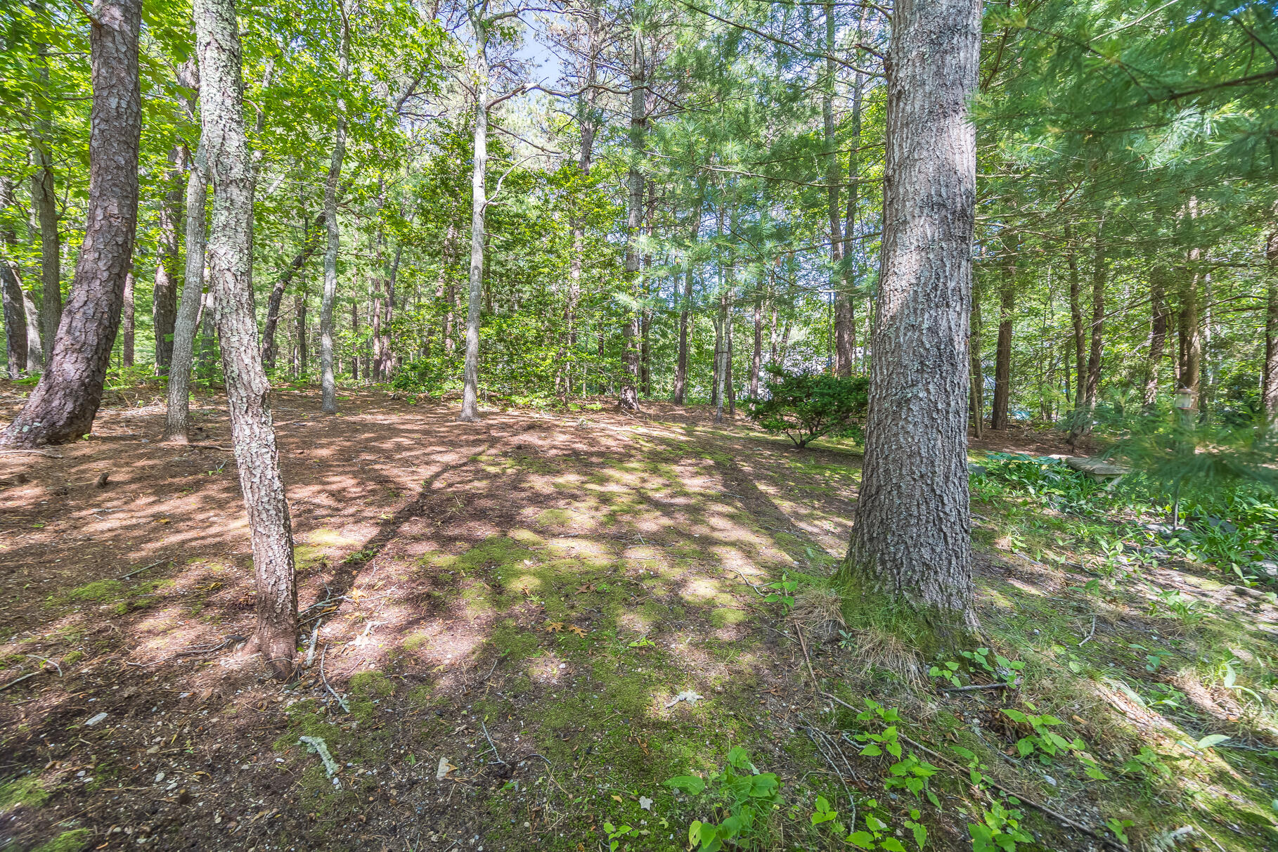 1441 Old Post Road Marstons Mills, MA 02648 - Photo 47 of 52 8P0A9146