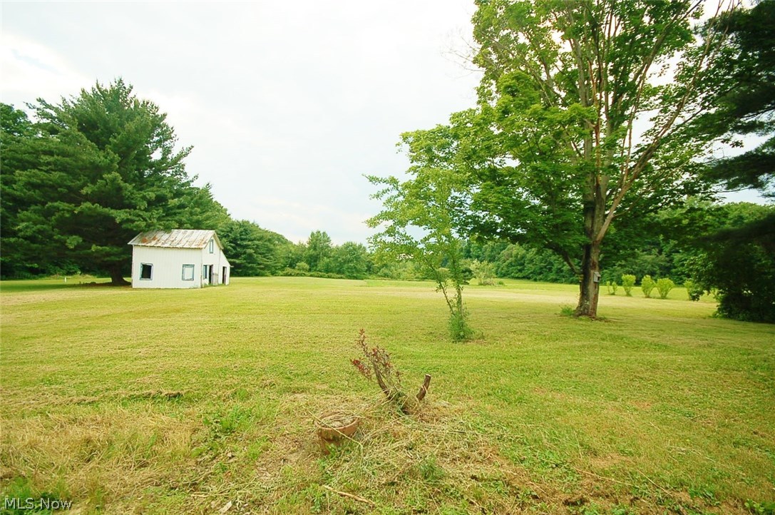 6493 Phillips Rice Road Cortland, OH 44410 - Photo 4 of 25 Gallery Image 4
