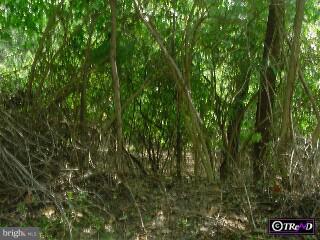 Lot 3 Steuben Road Reading, PA 19602 - Photo 3 of 3