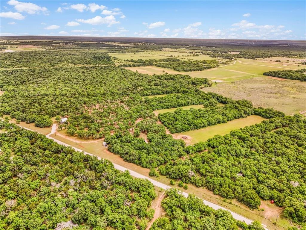 304 County Road 340 Ranger, TX 76470 - Photo 17 of 30 Expansive rural landscape featuring dense tree coverage and open clearings
