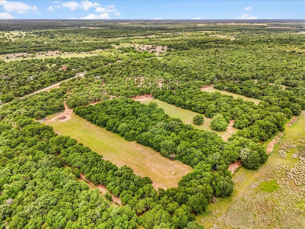 304 County Road 340 Ranger, TX 76470 - Photo 18 of 30 Expansive land parcel featuring dense tree coverage and multiple clearings