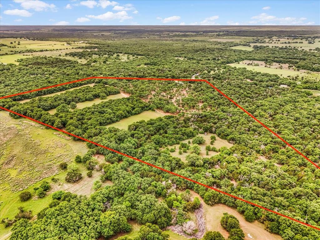 304 County Road 340 Ranger, TX 76470 - Photo 21 of 30 Expansive undeveloped land featuring a mix of dense tree coverage and open grassy areas