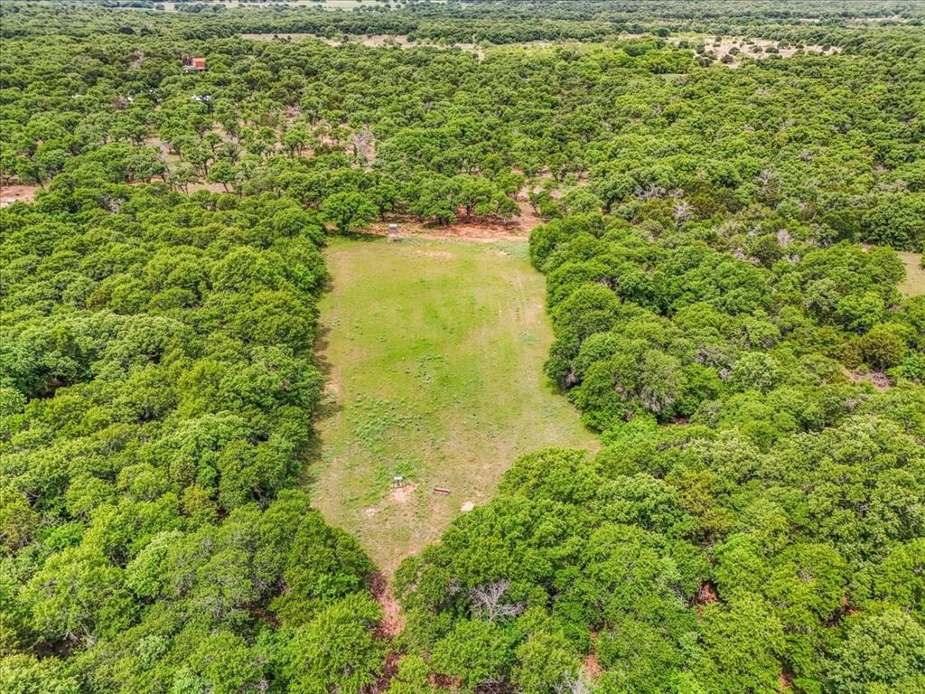 304 County Road 340 Ranger, TX 76470 - Photo 24 of 30 Expansive acreage featuring substantial tree coverage and a central open pasture
