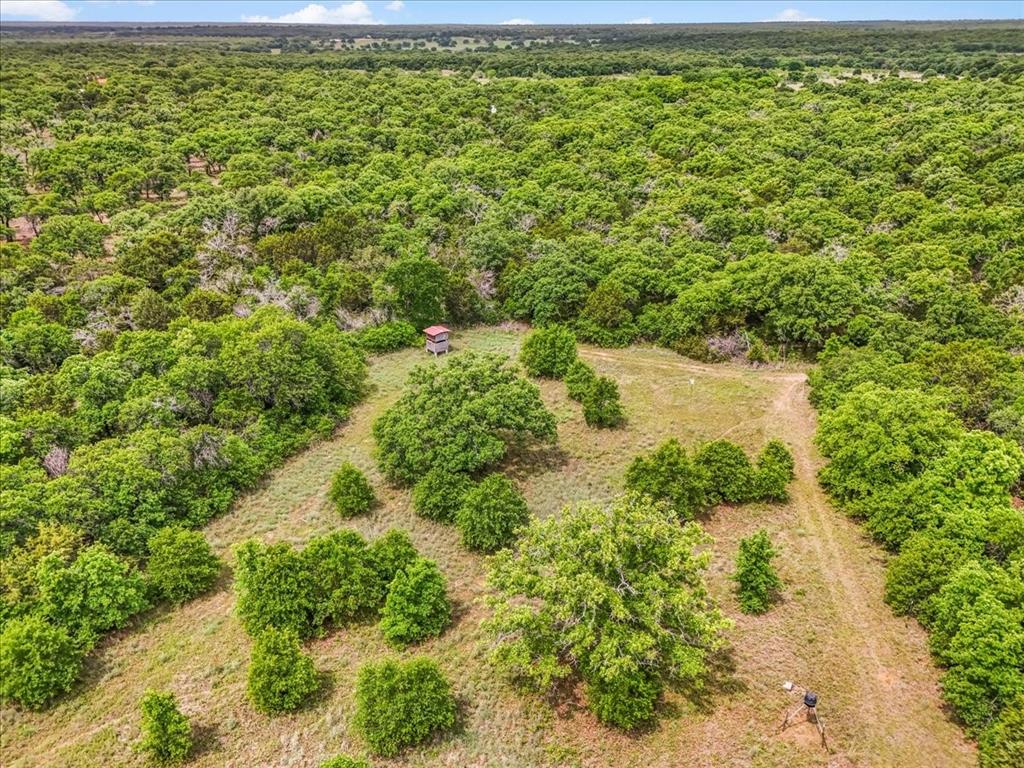 304 County Road 340 Ranger, TX 76470 - Photo 25 of 30 Extensive wooded acreage featuring a cleared path and a small structure