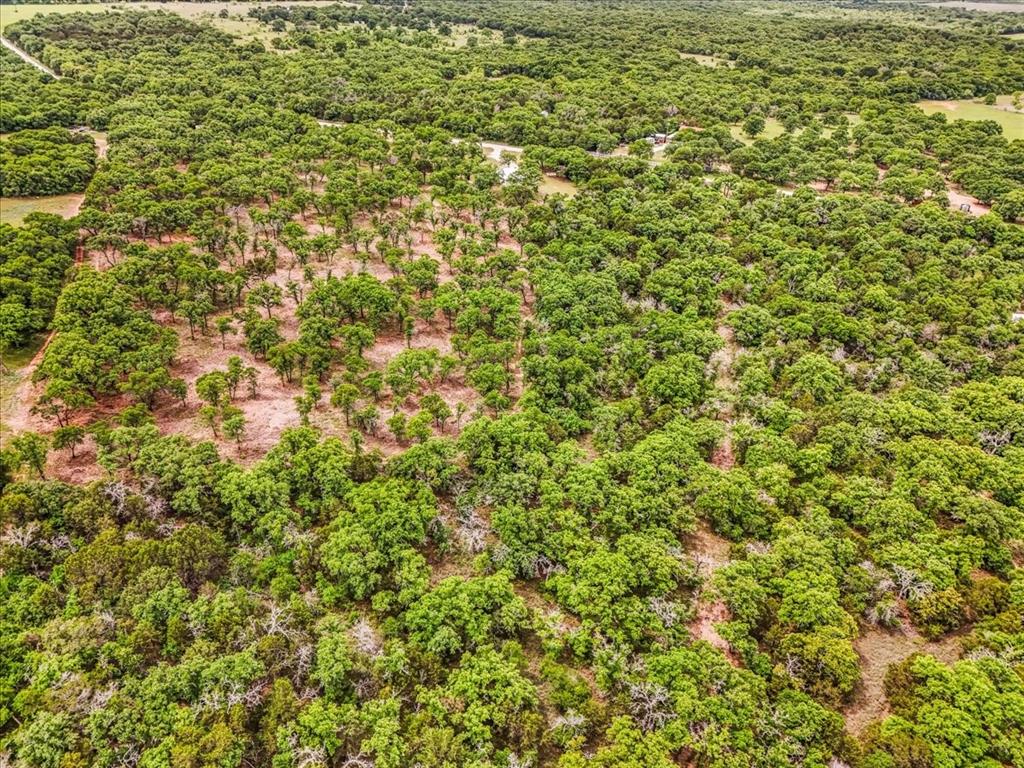 304 County Road 340 Ranger, TX 76470 - Photo 26 of 30 Expansive acreage featuring dense tree coverage