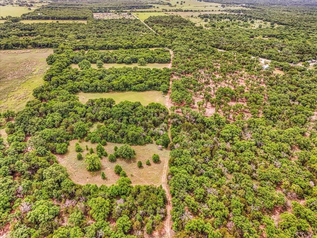 304 County Road 340 Ranger, TX 76470 - Photo 27 of 30 Expansive acreage featuring significant tree coverage and open clearings