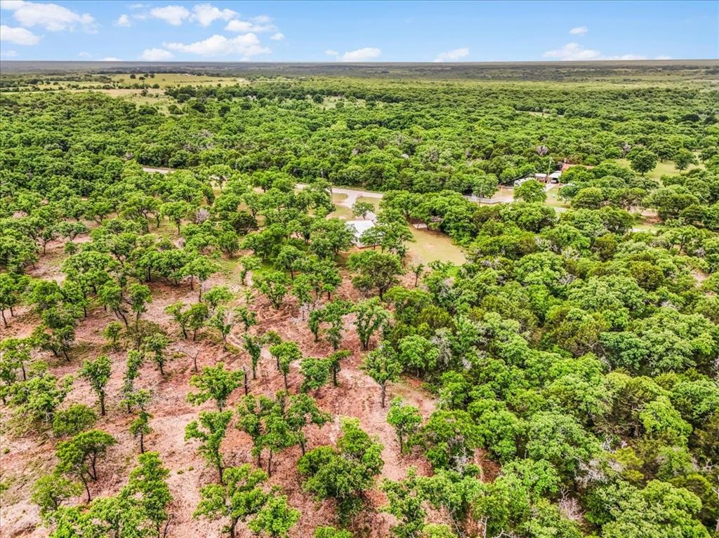 304 County Road 340 Ranger, TX 76470 - Photo 28 of 30 Expansive acreage featuring abundant mature trees and natural terrain under a clear sky
