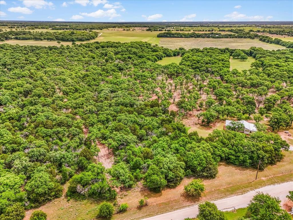 304 County Road 340 Ranger, TX 76470 - Photo 29 of 30 Expansive rural property featuring a vast tree canopy, a single-story dwelling with a light-colored roof, and open fields in the background