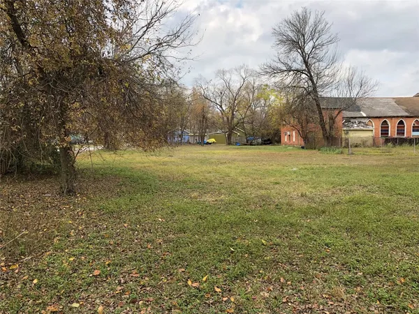 a view of a yard with a tree