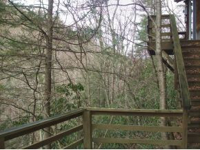 1061 Tumbling Creek Road Erwin, TN 37650 - Photo 13 of 13 Photo 13